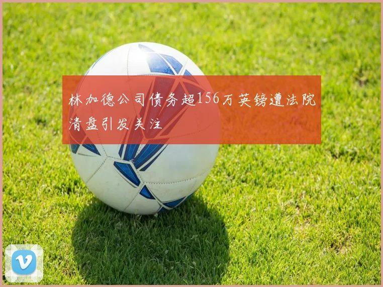 林加德公司债务超156万英镑遭法院清盘引发关注
