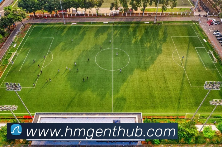 多媒体互动体验